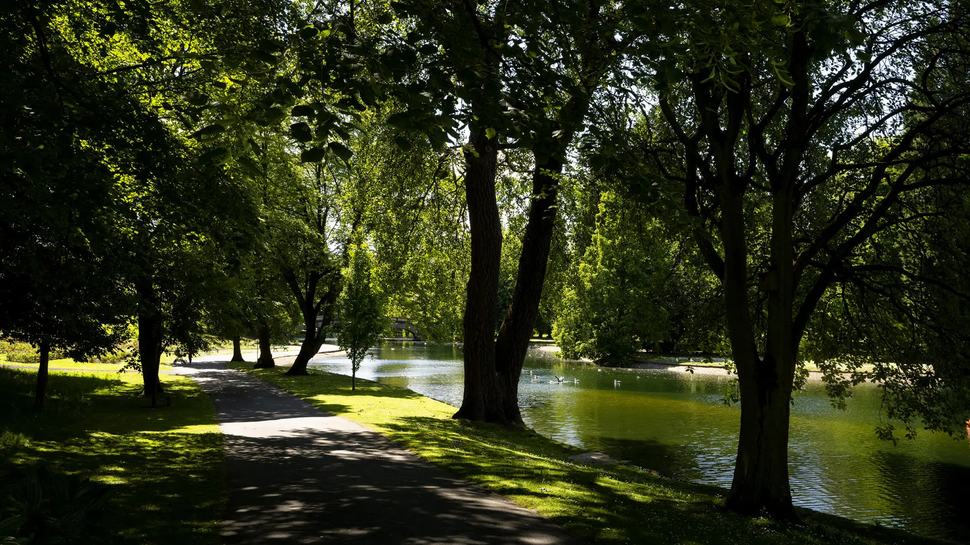 Thompson park Burnley river