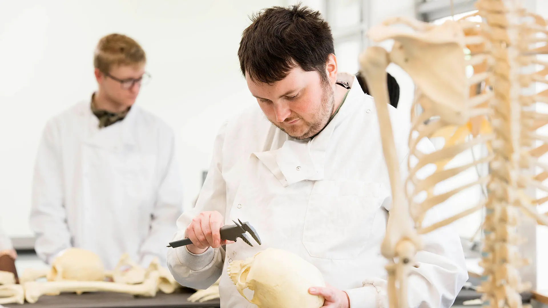archaeology anthropology foundation student working in lab coat