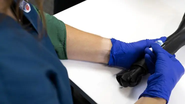 Practicing placement of an intravenous cannula in the cephalic vein on a canine clinical skill simulator