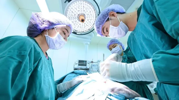 Students in an operating theatre