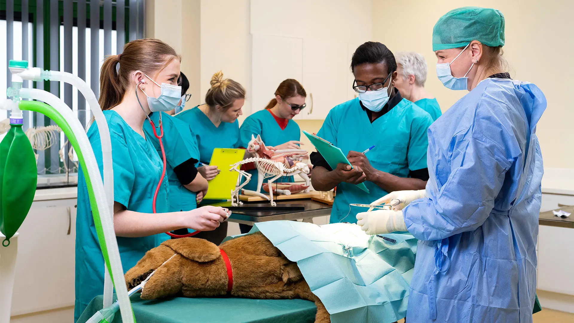 Students and tutor around an operating table with stuffed toy for mock surgery