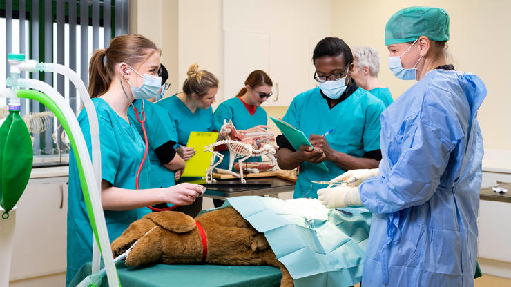 Students in a mock operating theatre