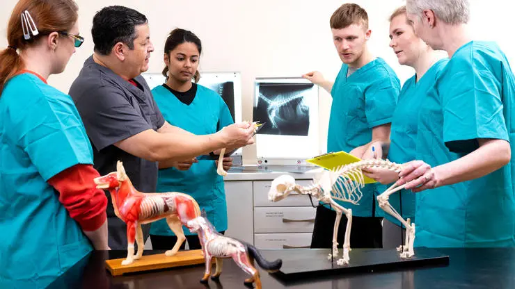 Learn from an expert team of veterinary and animal science lecturers with a wealth of clinical experience.