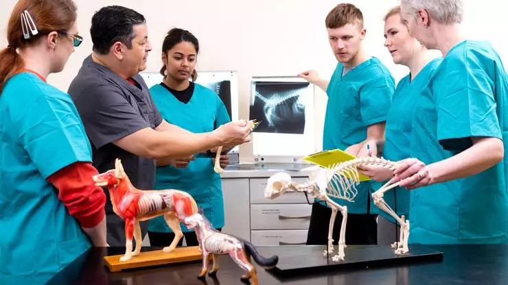 School of Veterinary Medicine - North West UK - UCLan