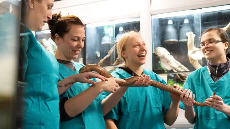 Students handling a snake