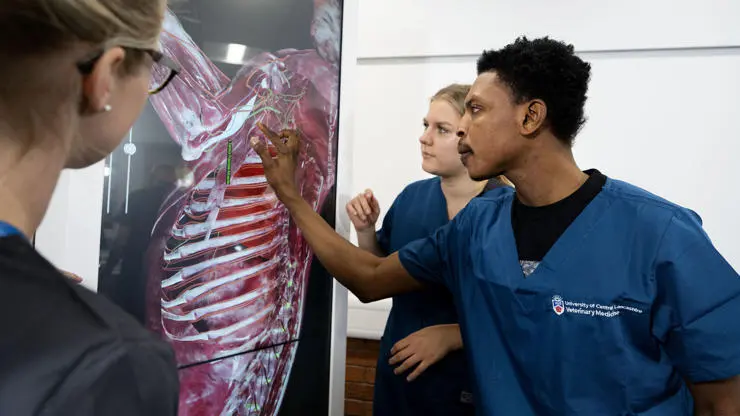 Students using Anatomage virtual dissection table