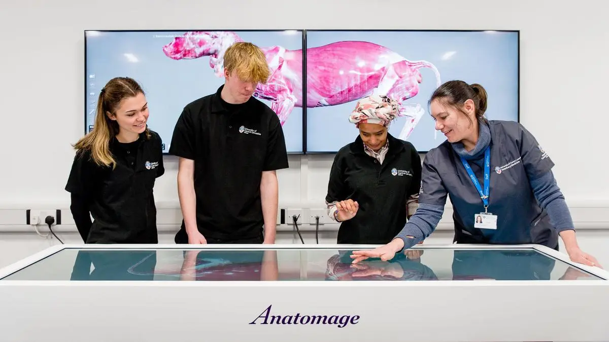 Students and tutor using the veterinary Anatomage table