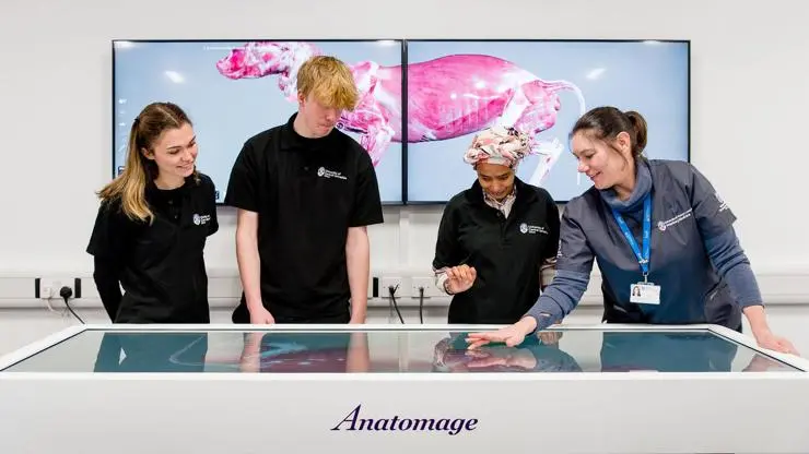 Students and tutor using Anatomage virtual dissection table