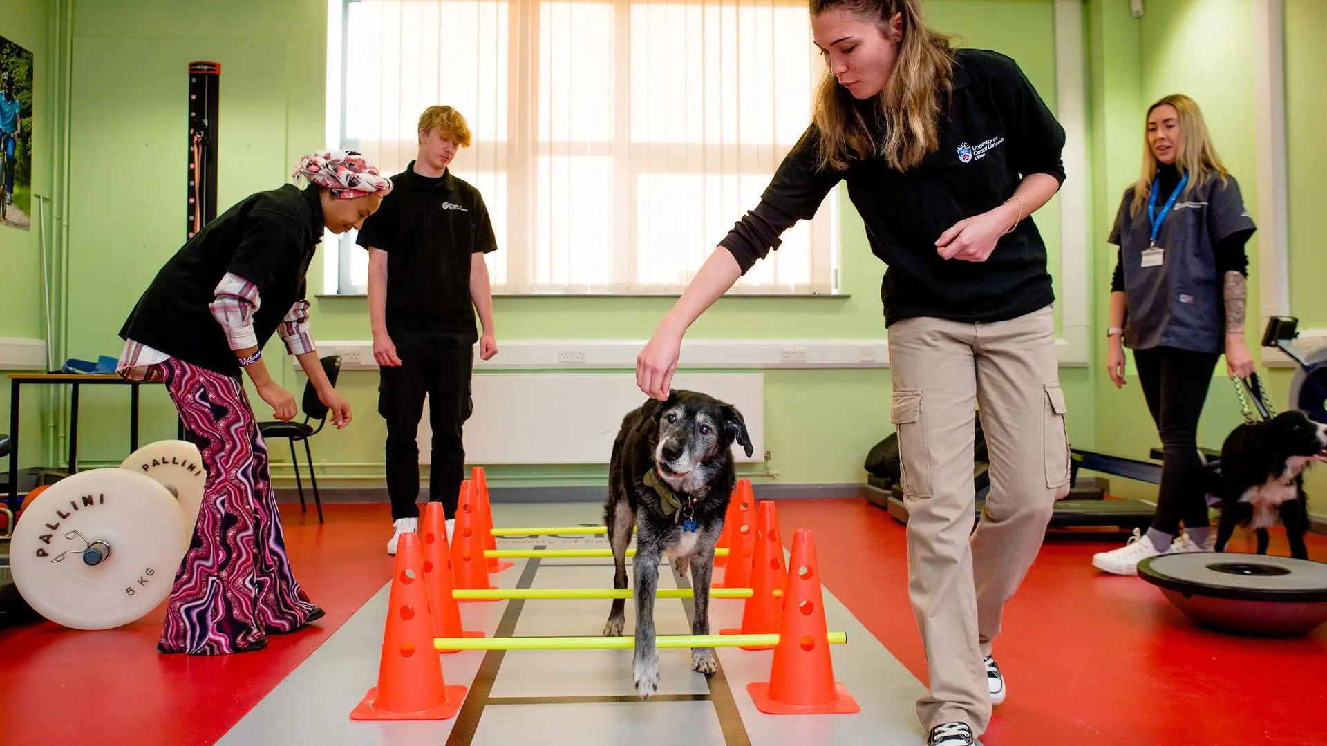 Dog doing exercises with students