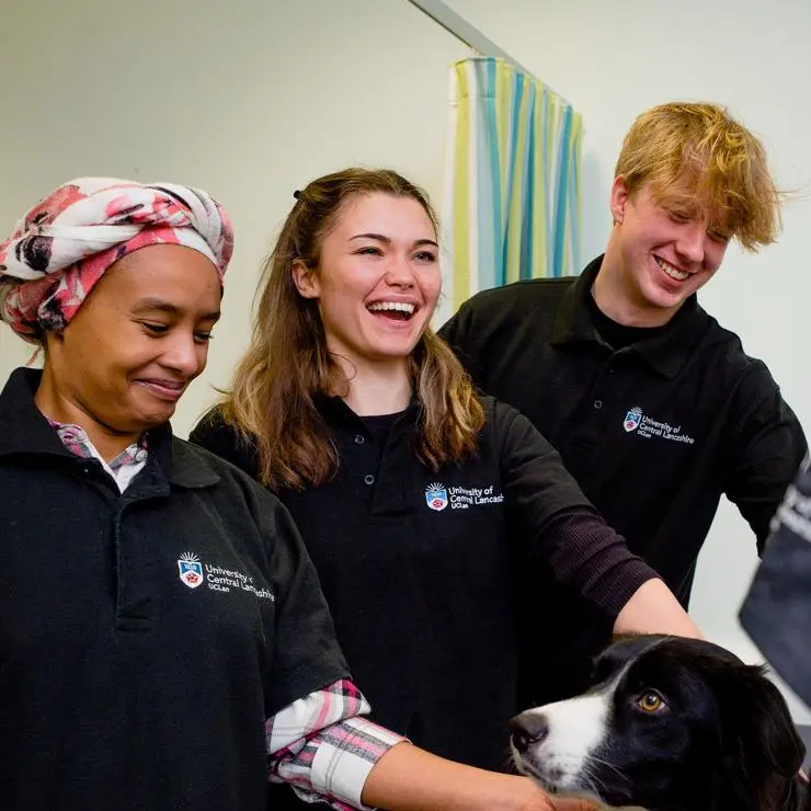 Students carrying out physiotherapy assessment on dog
