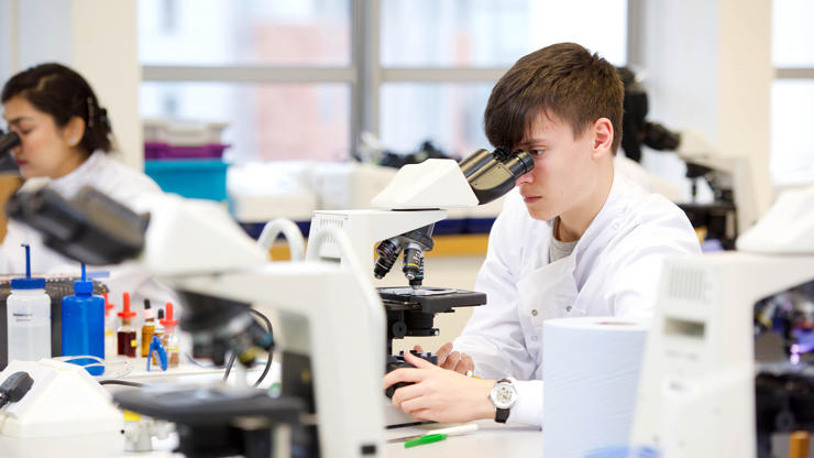 Students working in laboratory facilities