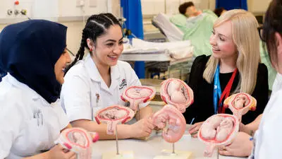 midwifery-registered-nurses-adult-bsc