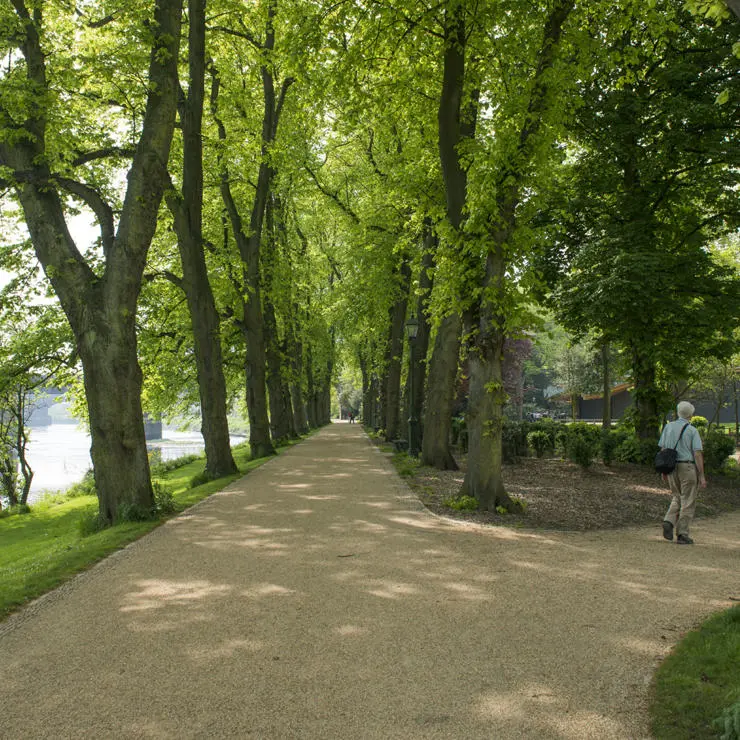 Avenham Park walks, photo courtesy of Preston City Council