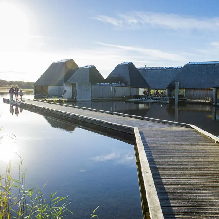 Brockholes has 250 acres of a beautiful nature reserve and out-of-this-world ice cream