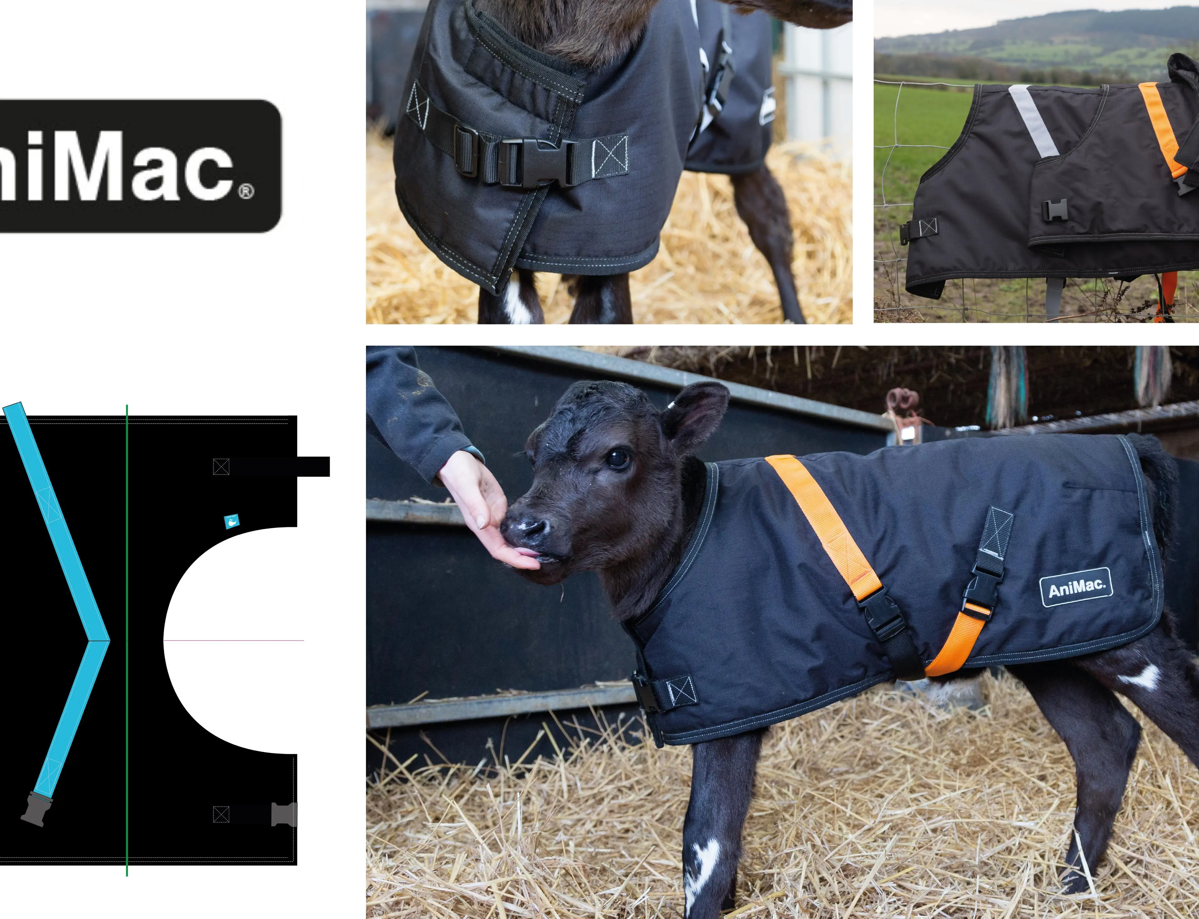 Animac products shown on cows