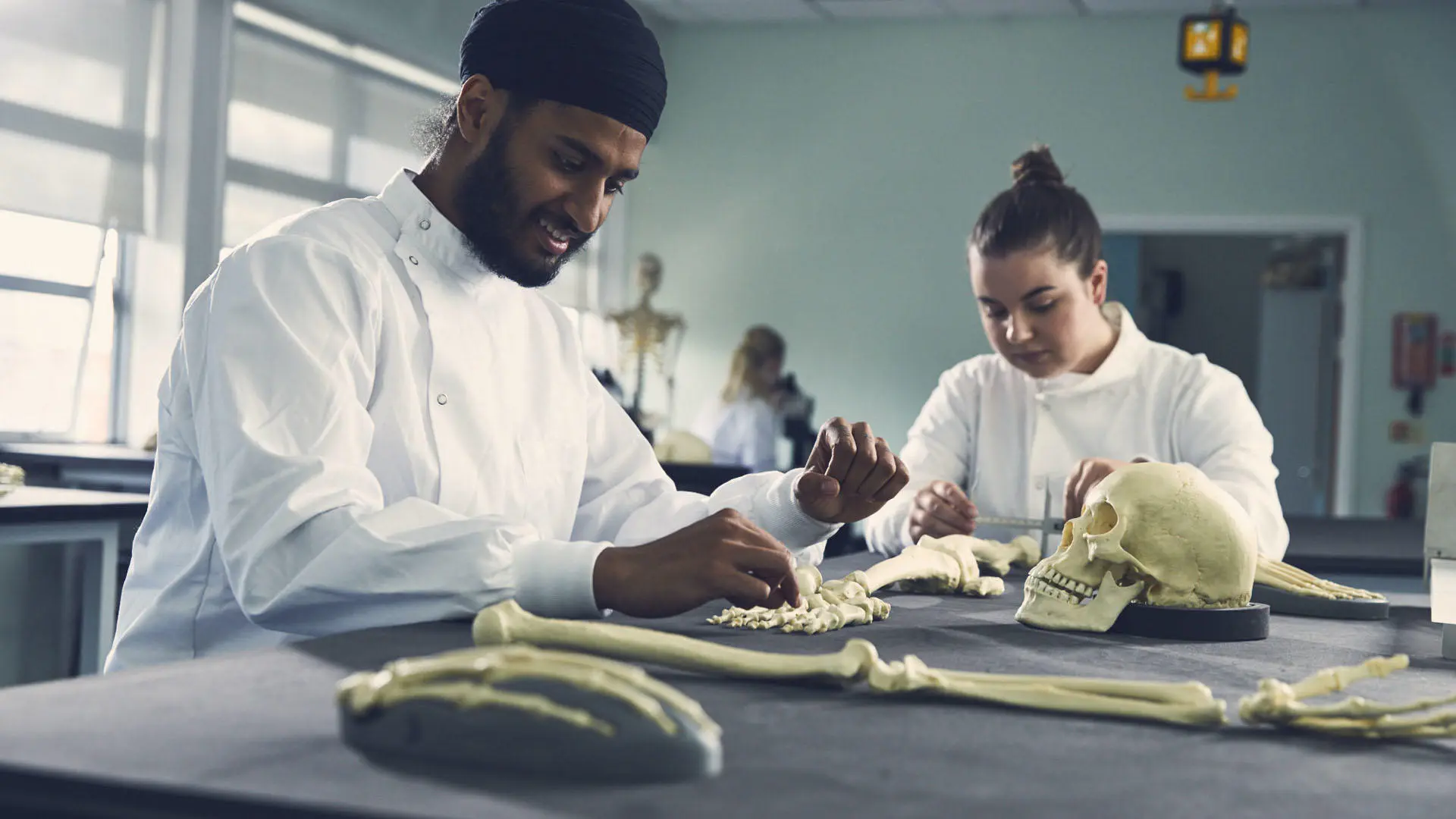 Students studying human remains in laboratory