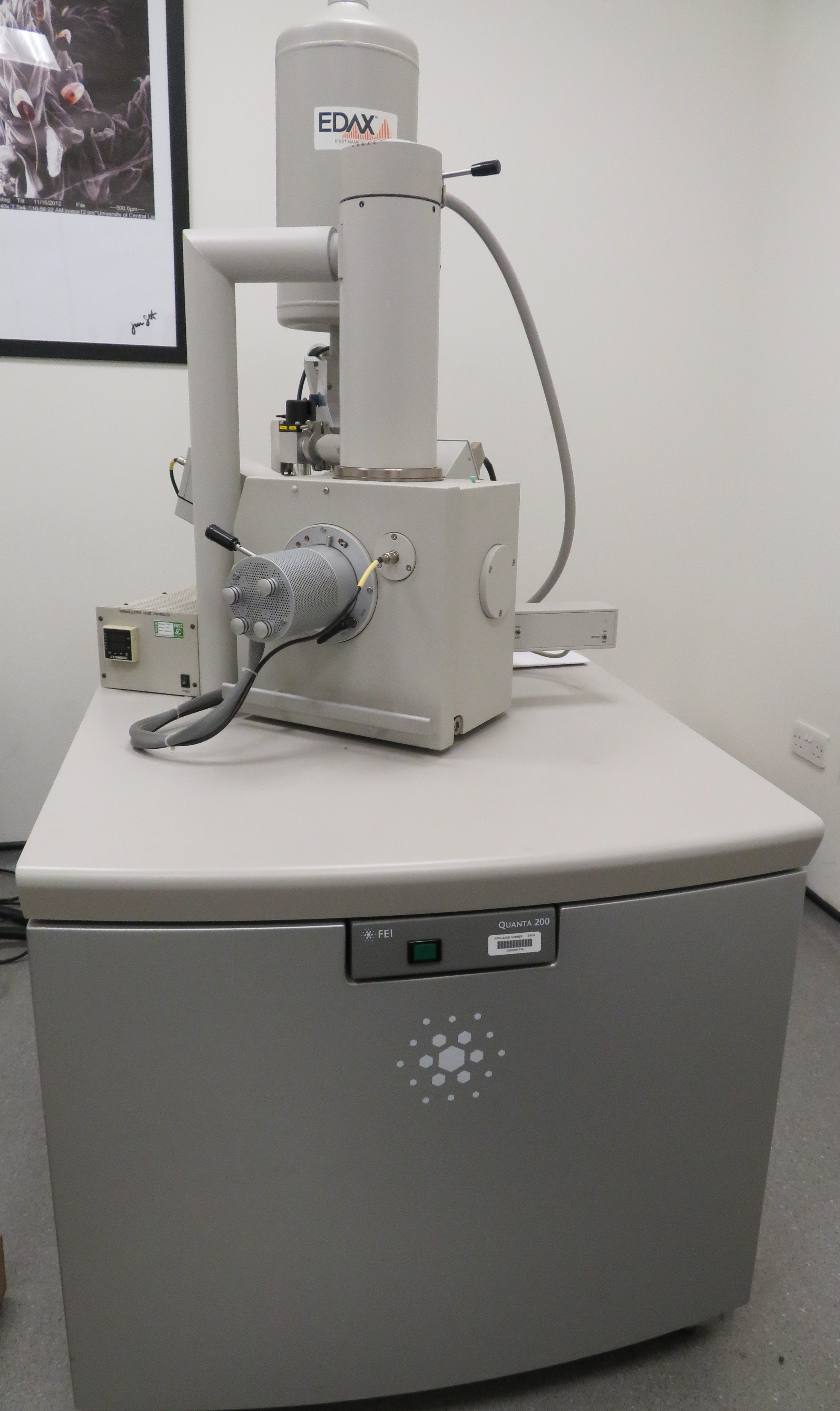 Scanning Electron Microscopy with Energy Dispersive X-Ray Analysis (SEM-EDX)