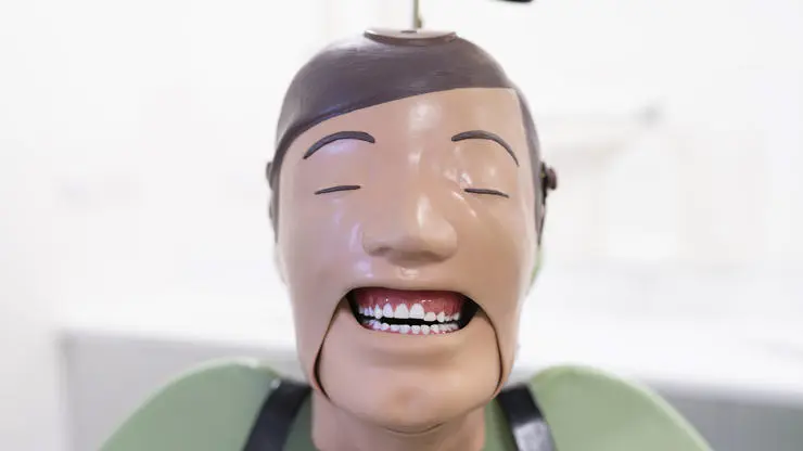 Dental training dummy