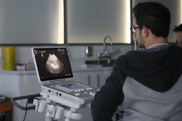 Ultrasound scanning session during a small animal diagnostic imaging course.