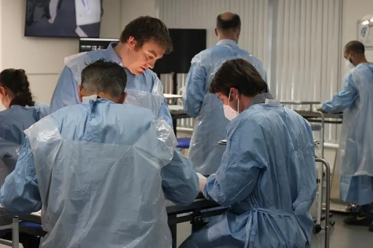 Mentoring vets during a practical small animal surgery practical session.