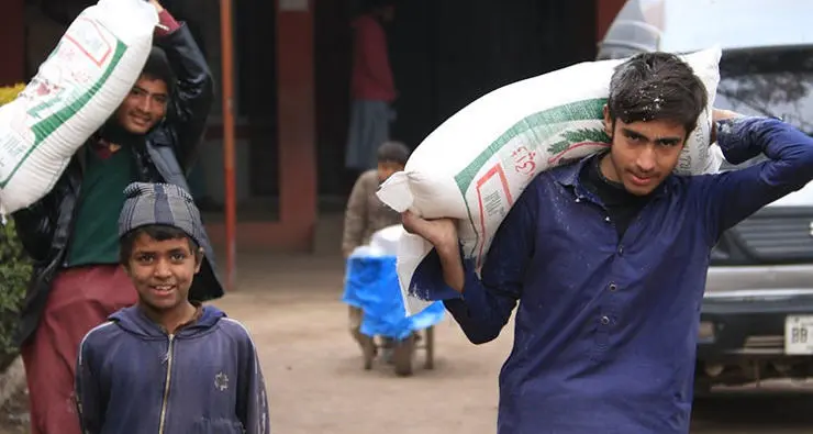 Young men collecting flour for their households who are study participants.