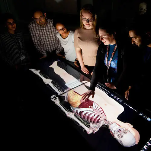 An anatomage medical virtual dissection table