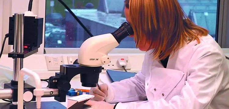 woman looking into a microscope in a lab