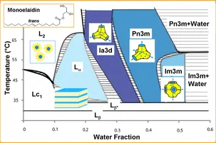 lipid-nanostructure-lipid-phase-behaviour