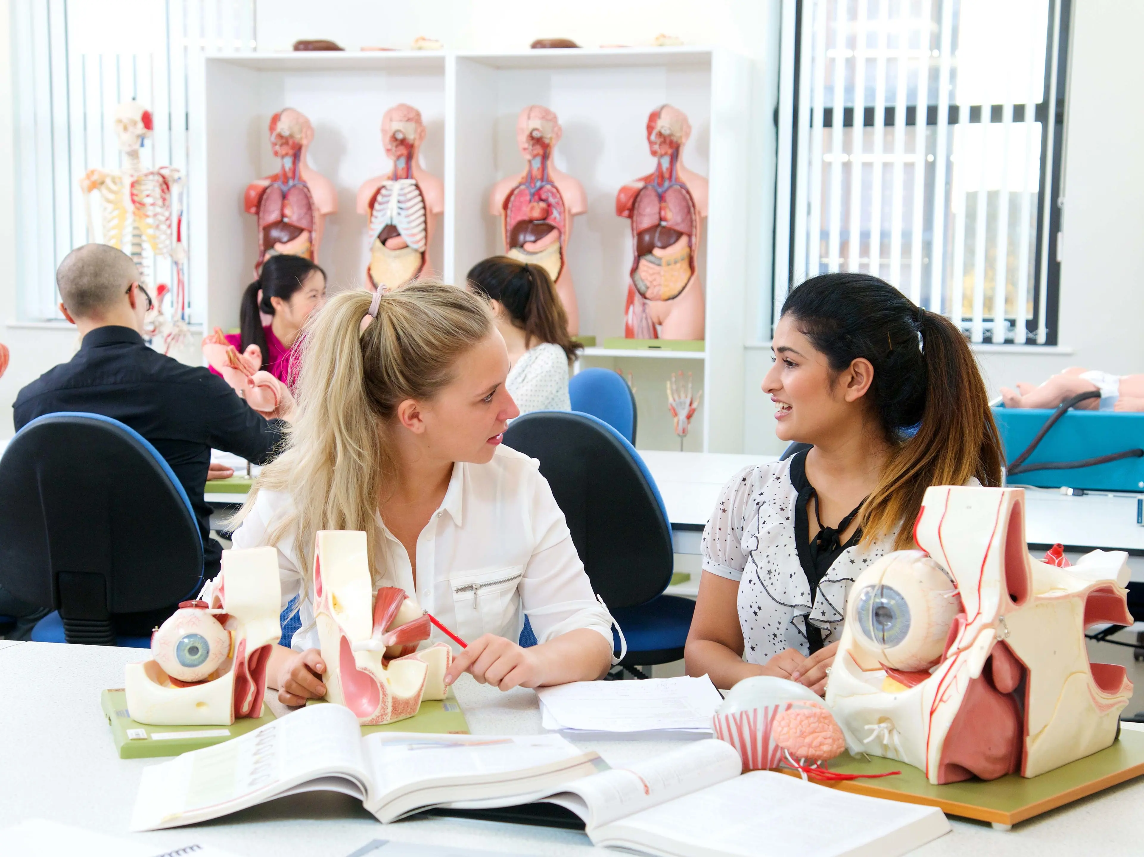Two medical student discuss coursework in the Anatomy Lab